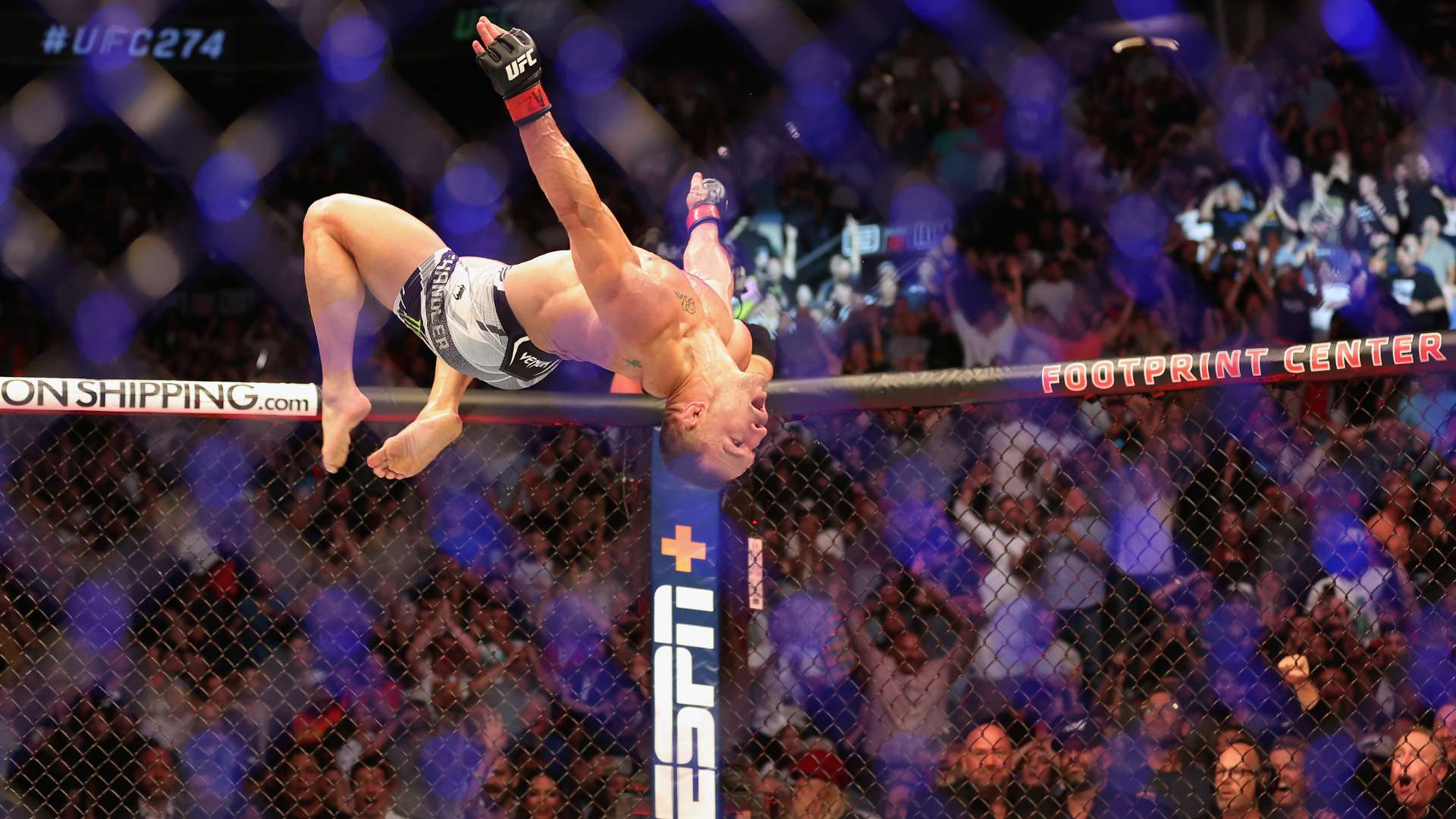 卓越的适应 卓越的适应